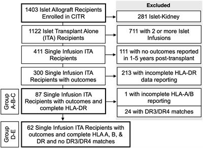 Matching for HLA-DR excluding diabetogenic HLA-DR3 and HLA-DR4 predicts insulin independence after pancreatic islet transplantation